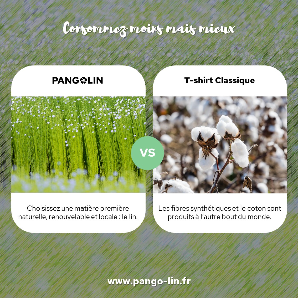 Consommez moins mais mieux Pangolin 01