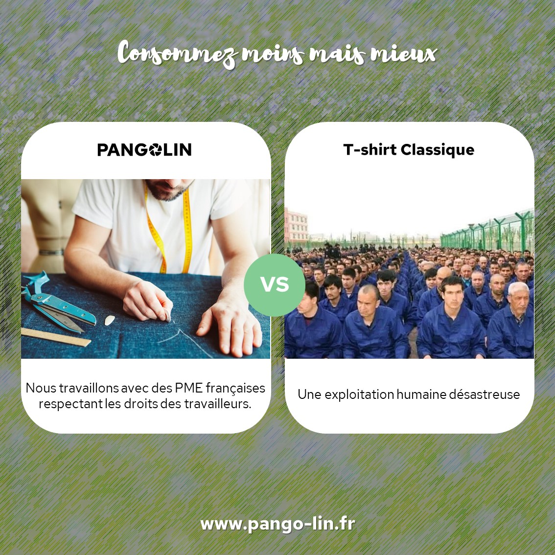 Consommez moins mais mieux Pangolin 03