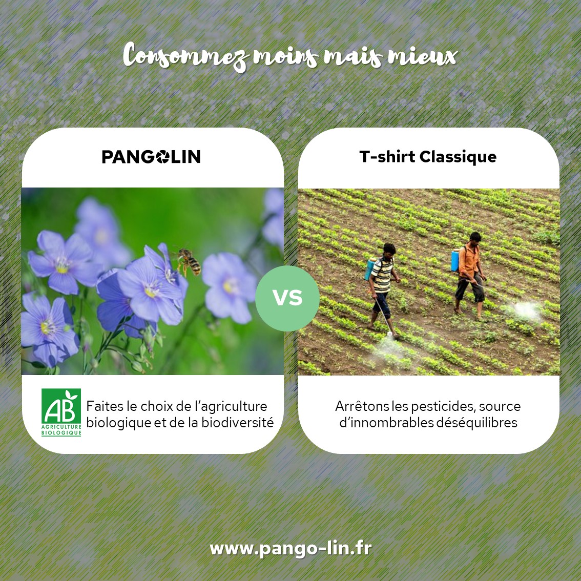 Consommez moins mais mieux Pangolin 04