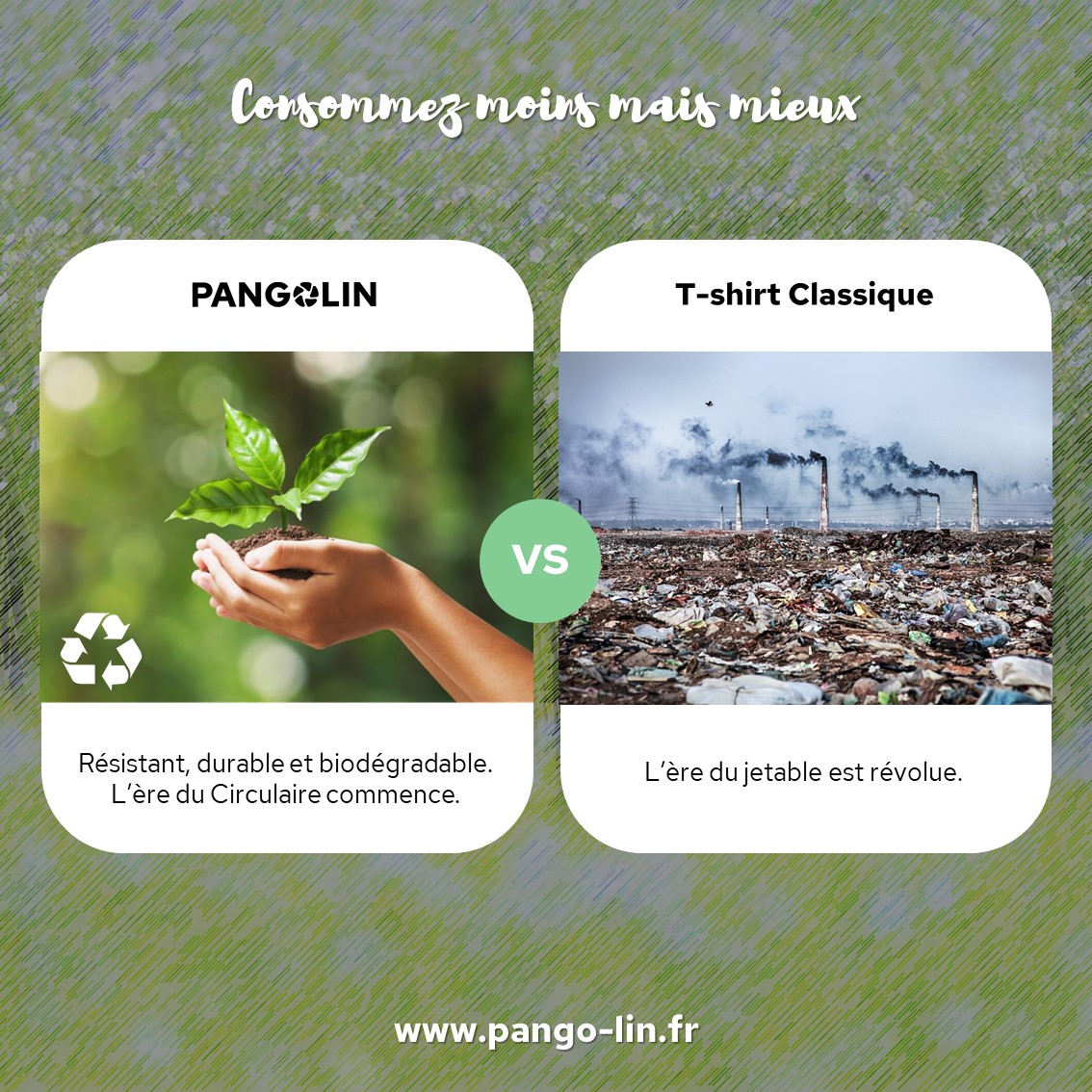 Consommez moins mais mieux Pangolin 05