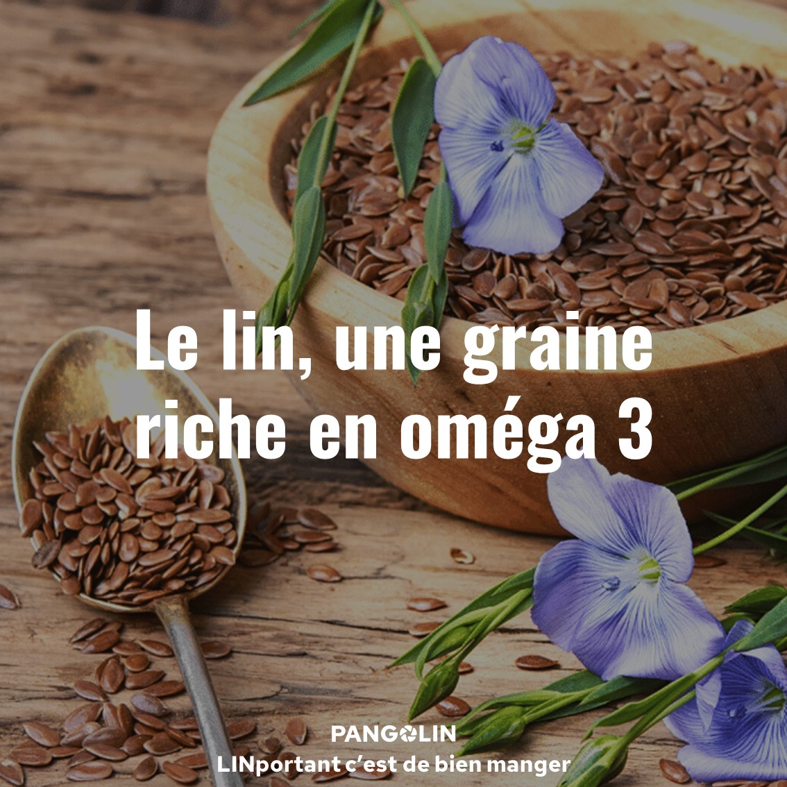 Le lin une graine en oméga 3